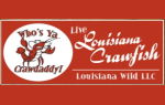 Louisiana Wild logo